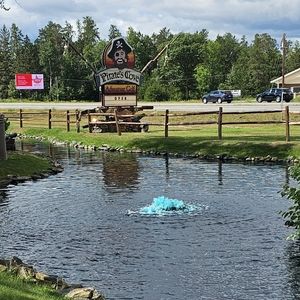 Meet your Posher, Liz